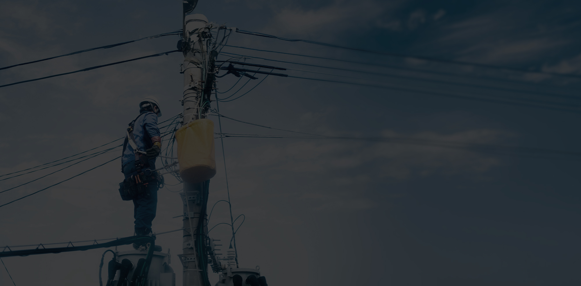 長年の技術と確かな信頼を